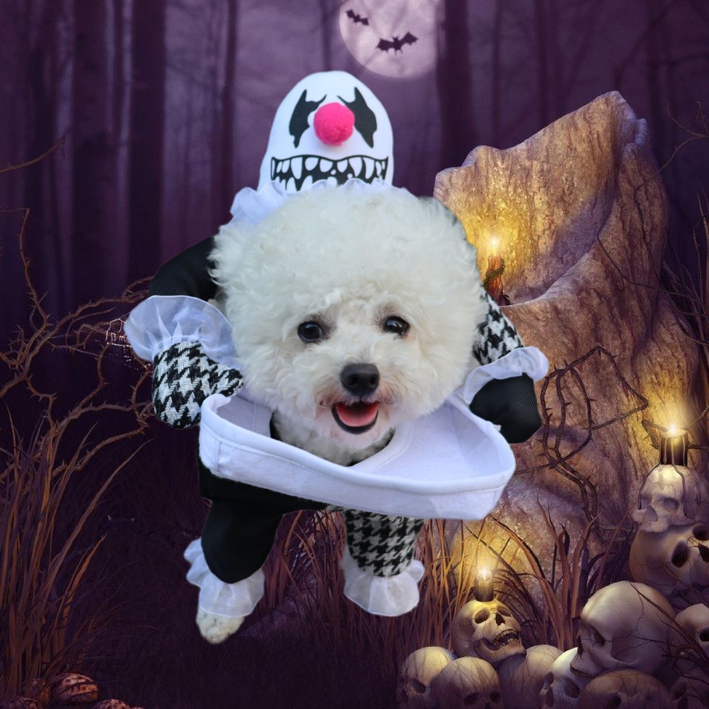 Pet Halloween Costume Photo Props Demon Transformation