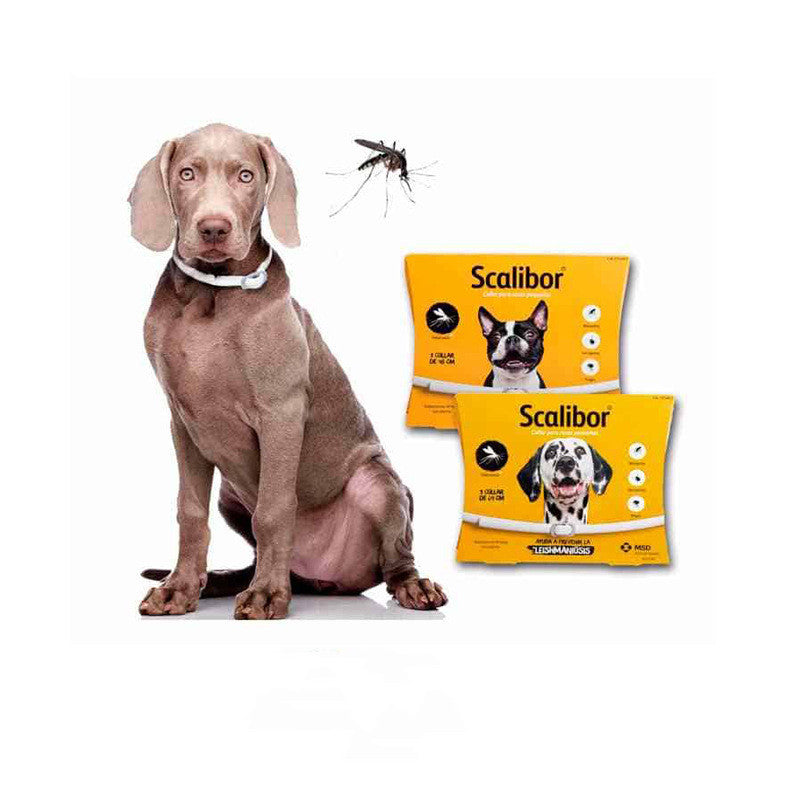 Dog Cat Flea Deworming Collar