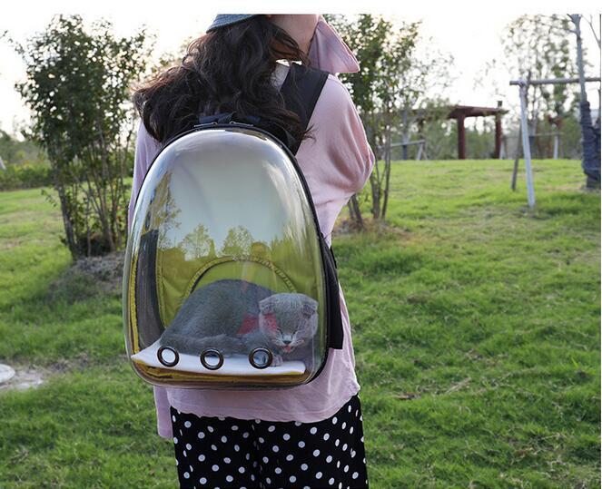 Transparent Backpack Pet Backpack