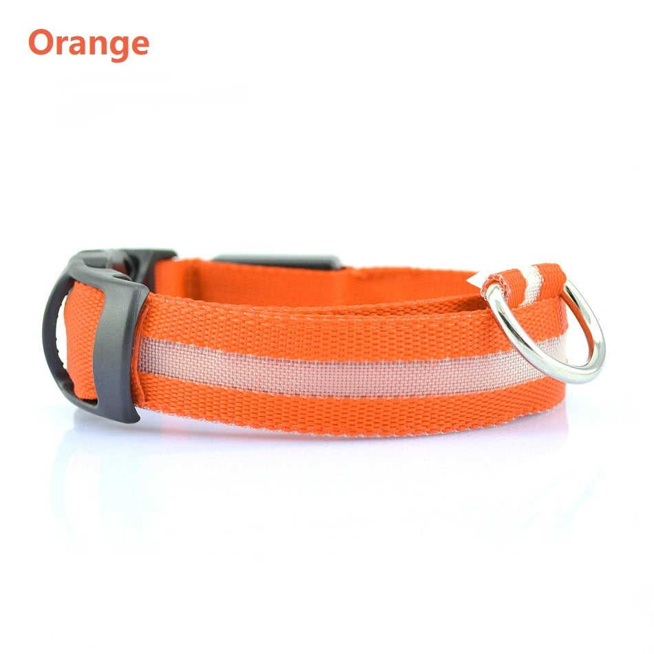 Safety Dog LED Collar