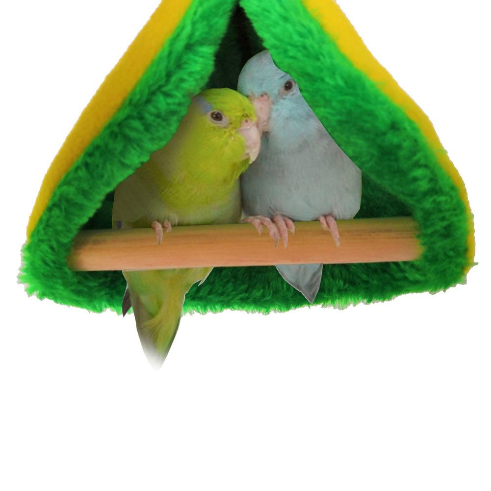 Hammock bird nest