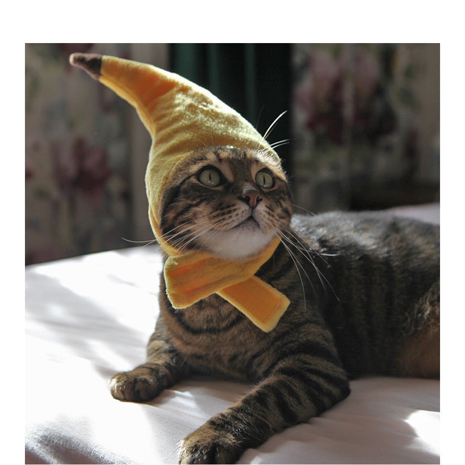 Creative design banana pet hat