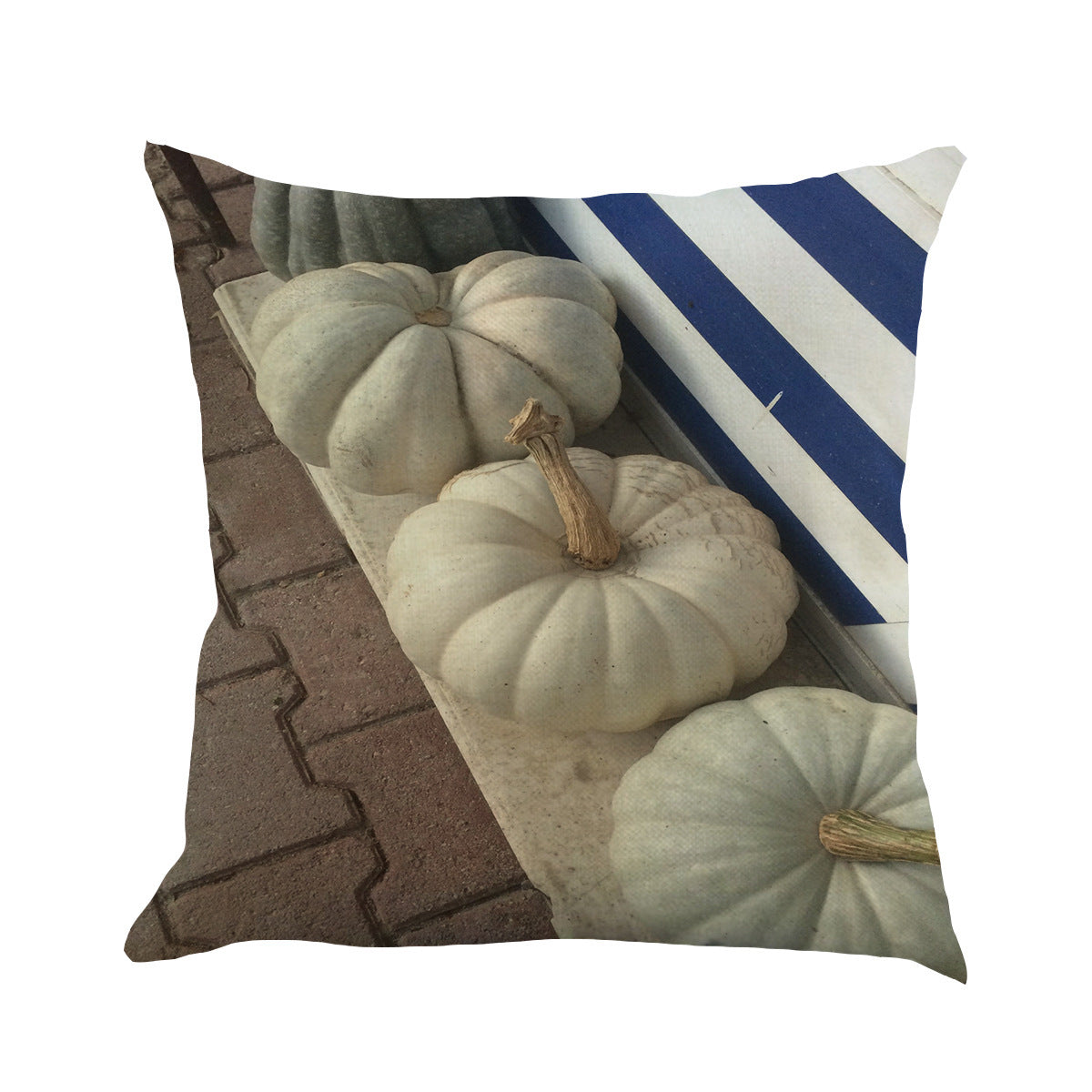 Thanksgiving cushion pillow case