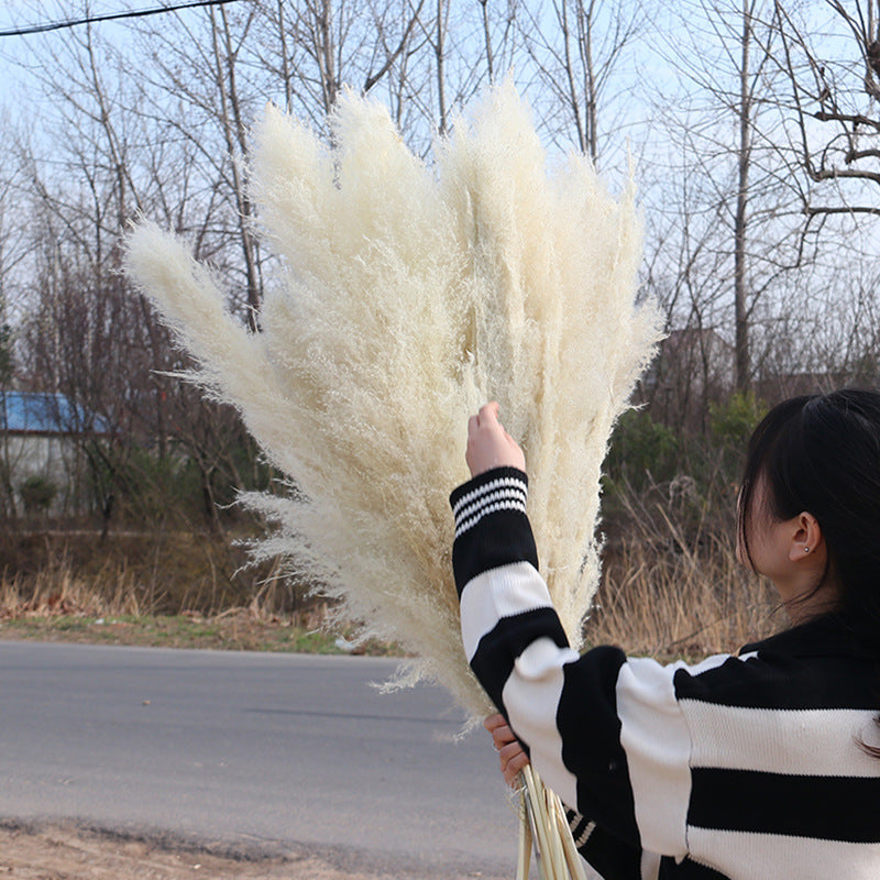 Reed dried flower bouquet