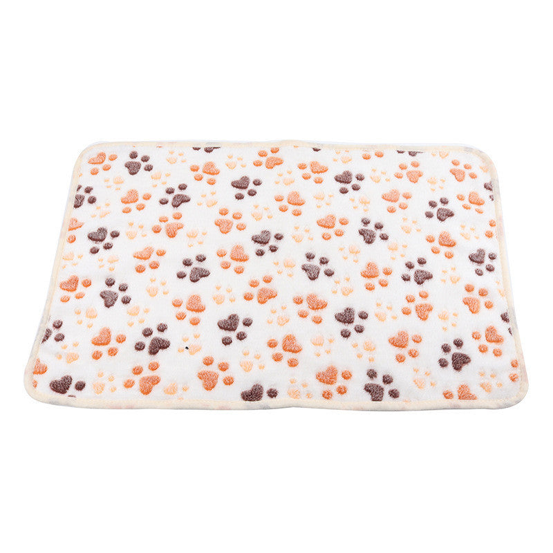 Autumn And Winter Warm Coral Fleece Blanket