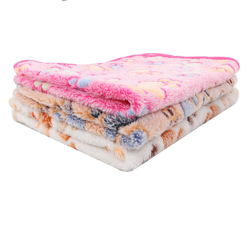 Autumn And Winter Warm Coral Fleece Blanket