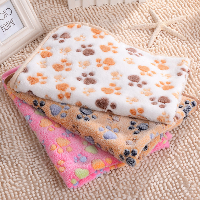 Autumn And Winter Warm Coral Fleece Blanket