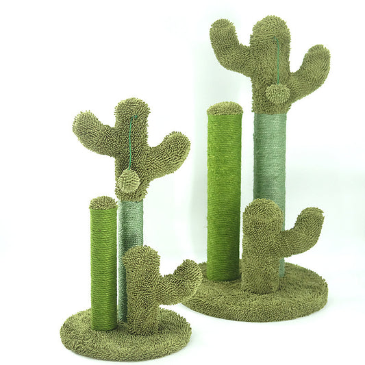 Cats Scratching Kitten Climbing Cactus Tree