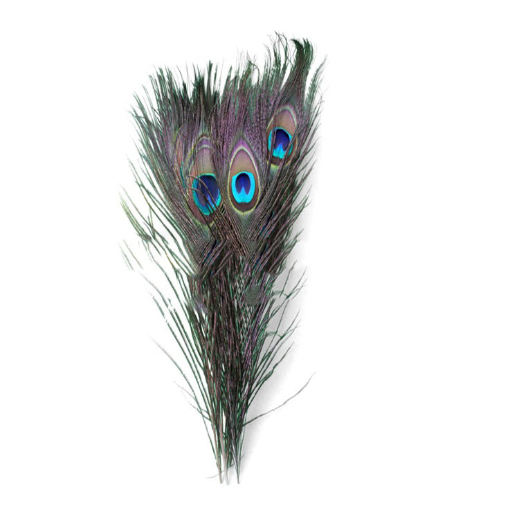 Peacock Feather Eyes 2-6 Cm Peacock Feather Feathers 40-50cm