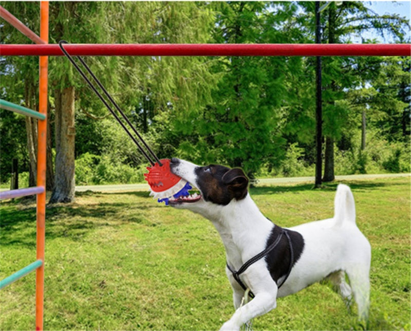 Dog Teething And Bite Resistant Outdoor Strong Draw Rope Ball