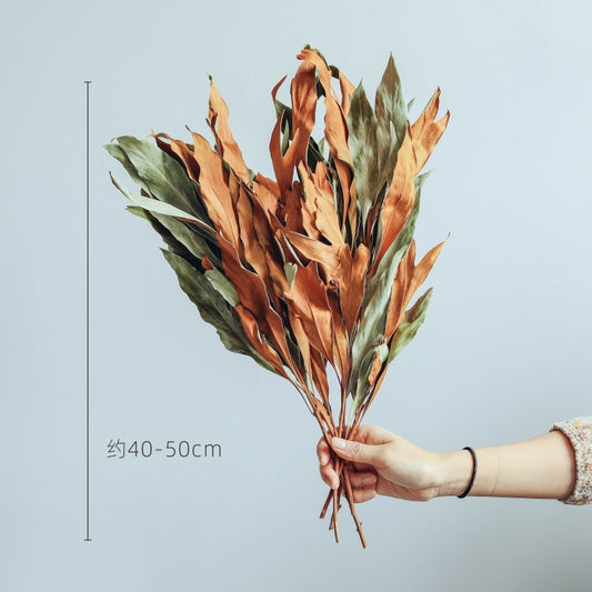 European Imported Double-Sided Leaf Dried Flowers Japanese Retro Style Natural Real Flower Bouquet