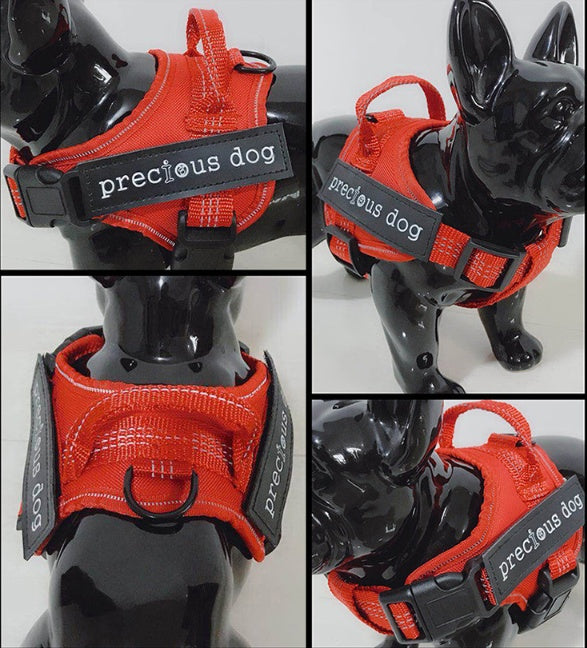 Pet harness