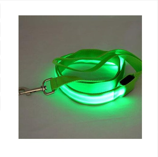 LED Illuminated Traction Nylon Pet Leash