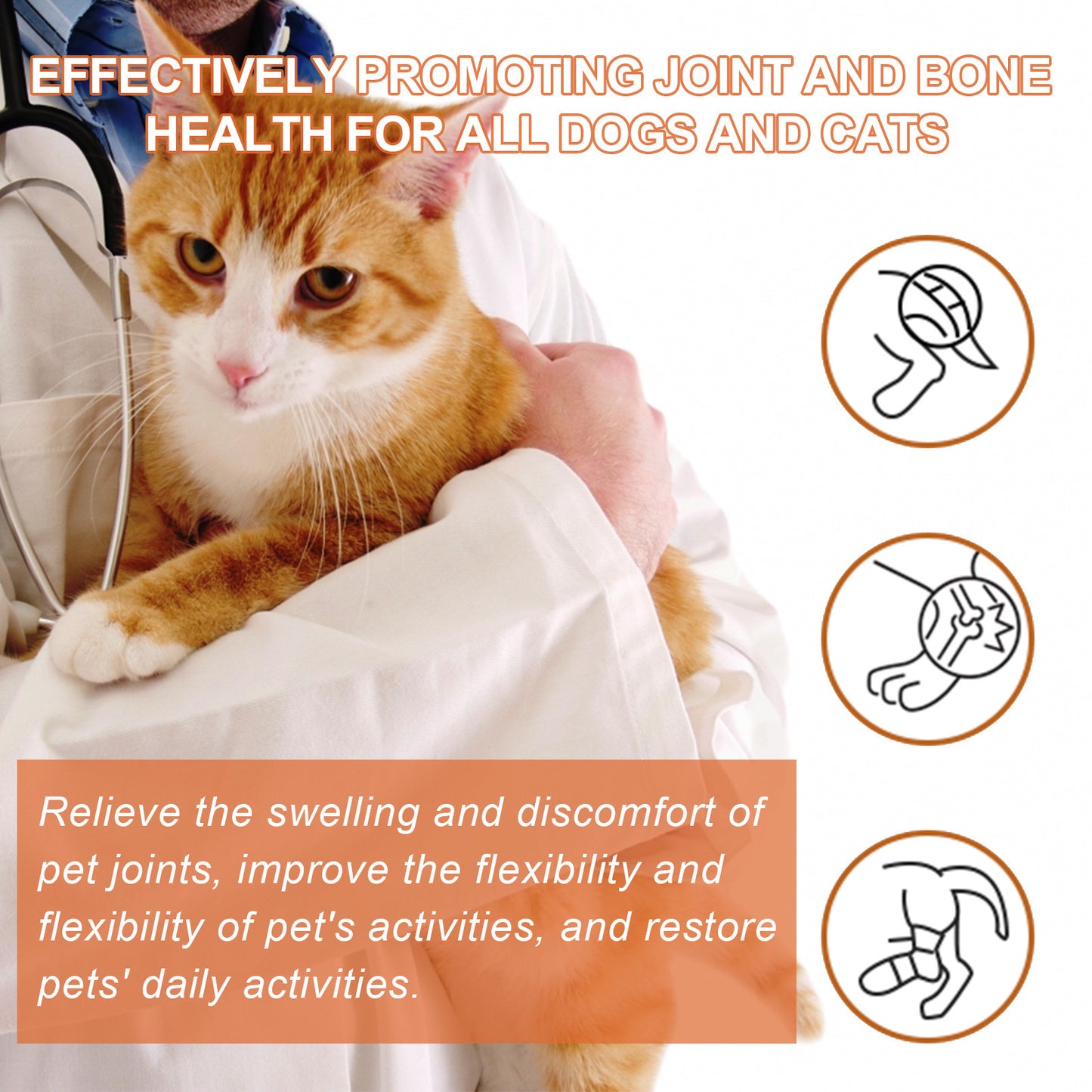 Pet Joint Repair Spray Care Relieve Pet Joint Discomfort Muscle Weakness