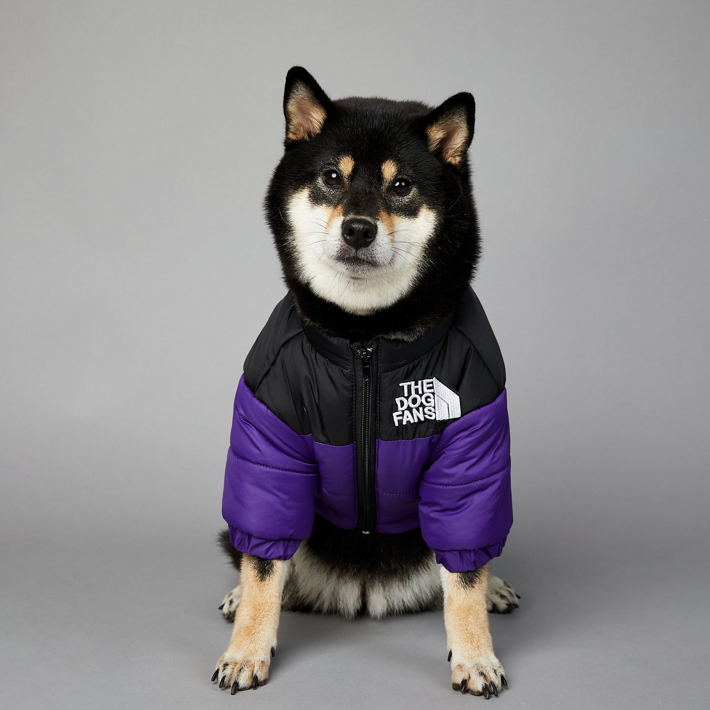 Windproof And Rainproof Dog Winter Warm Pet Cotton-padded Clothes