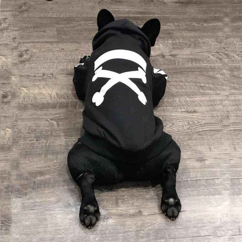 Winter dog jacket hood