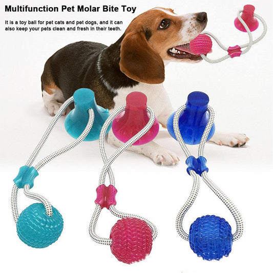 Pet dog rubber sucker molar toy