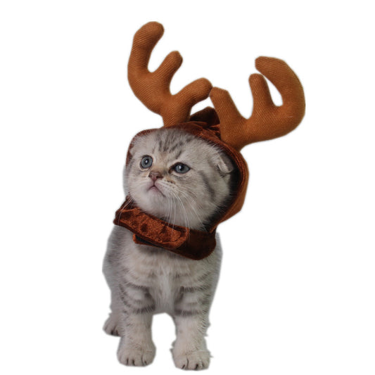 Teddy Dog Cat Antlers