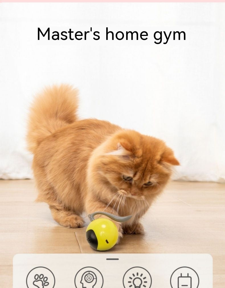 Cat Toy Electric Toy Ball