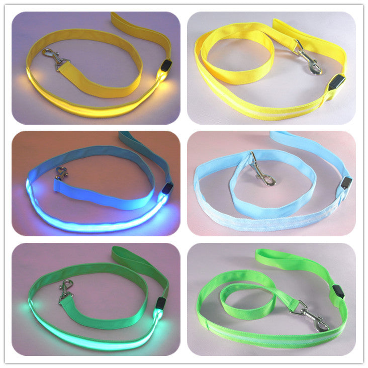 LED Illuminated Traction Nylon Pet Leash