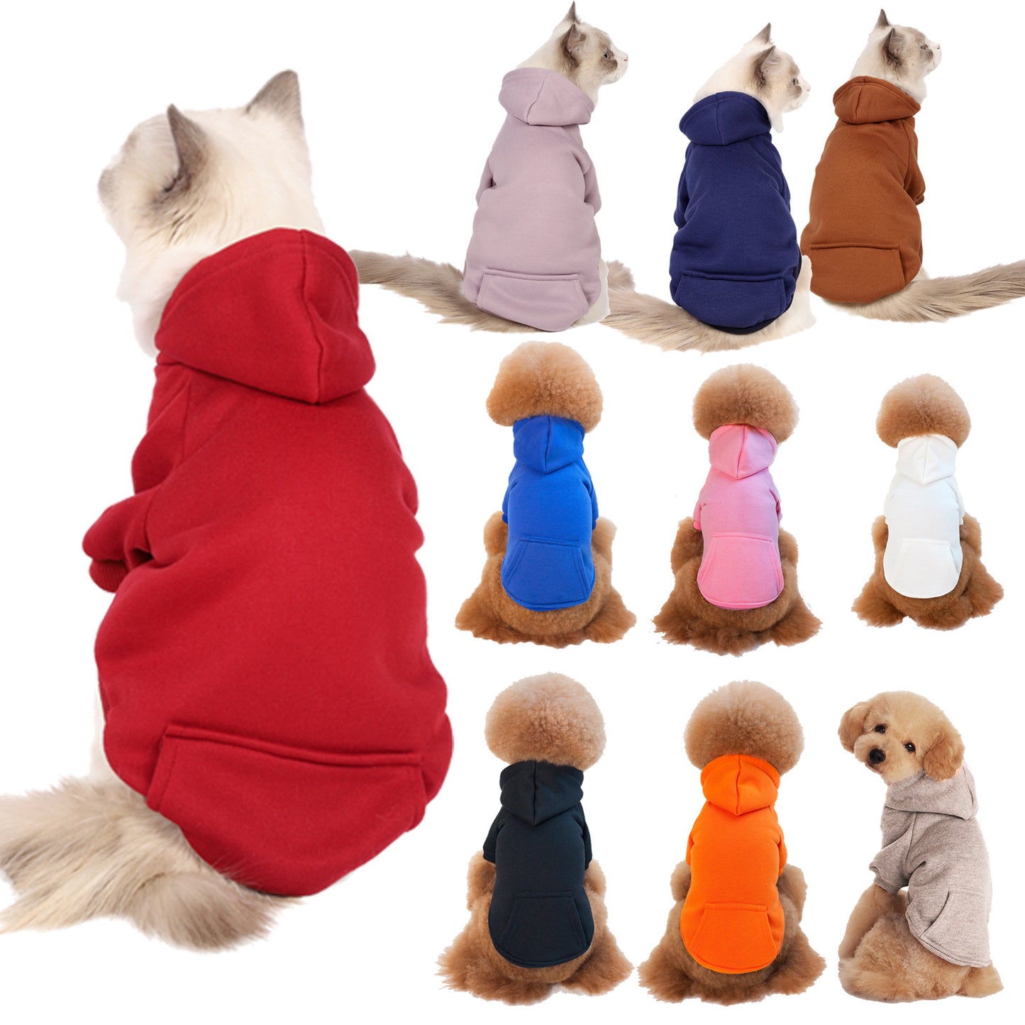 Small And Medium Sized Dogs Wearing Caps And Fleece Clothes