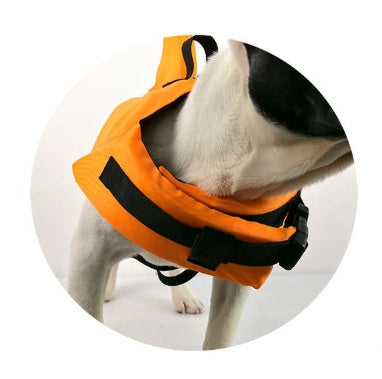 Large and small dog tide brand pet swimsuit