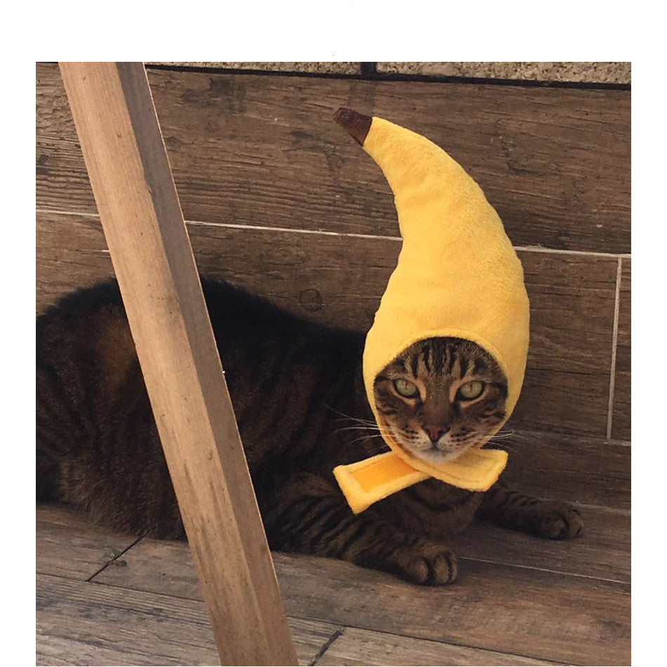 Creative design banana pet hat