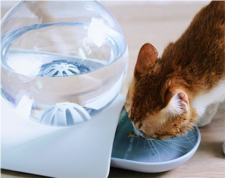 Pet automatic drinking fountain