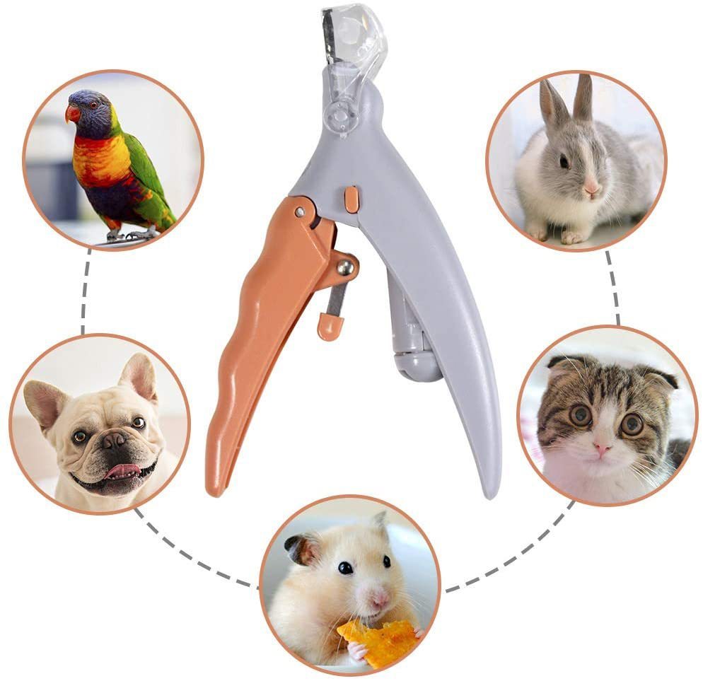 Pet LED With Light Nail Scissors Dogs And Cats Cleaning Scissors Beauty Luminous Nail Clippers