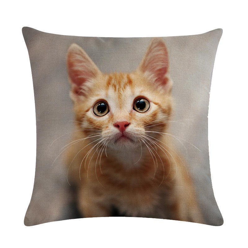 Cute cat hug pillowcase