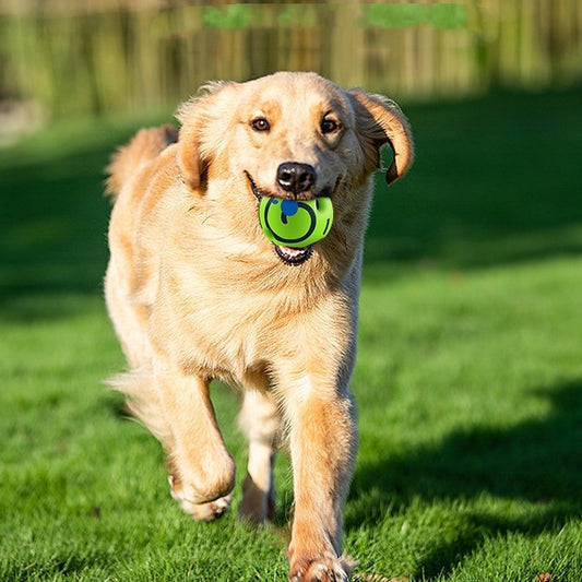 Dog Toy Anti-stuffy Gadget Bite-resistant