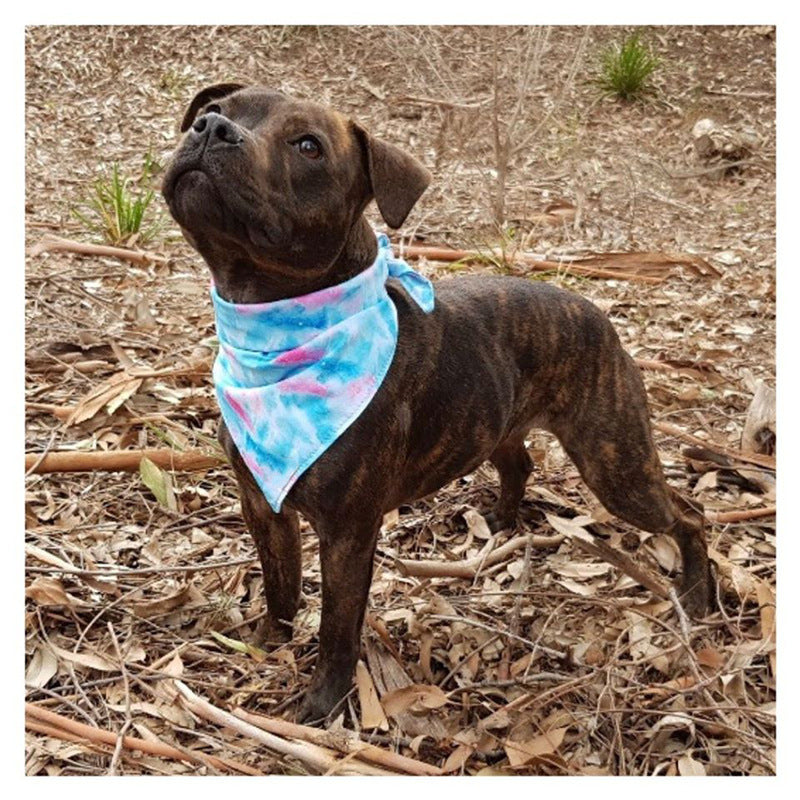 Double printed cotton pet scarf