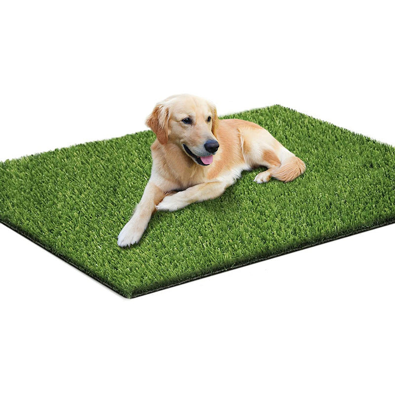 Pet Lawn Mat Professional Toilet