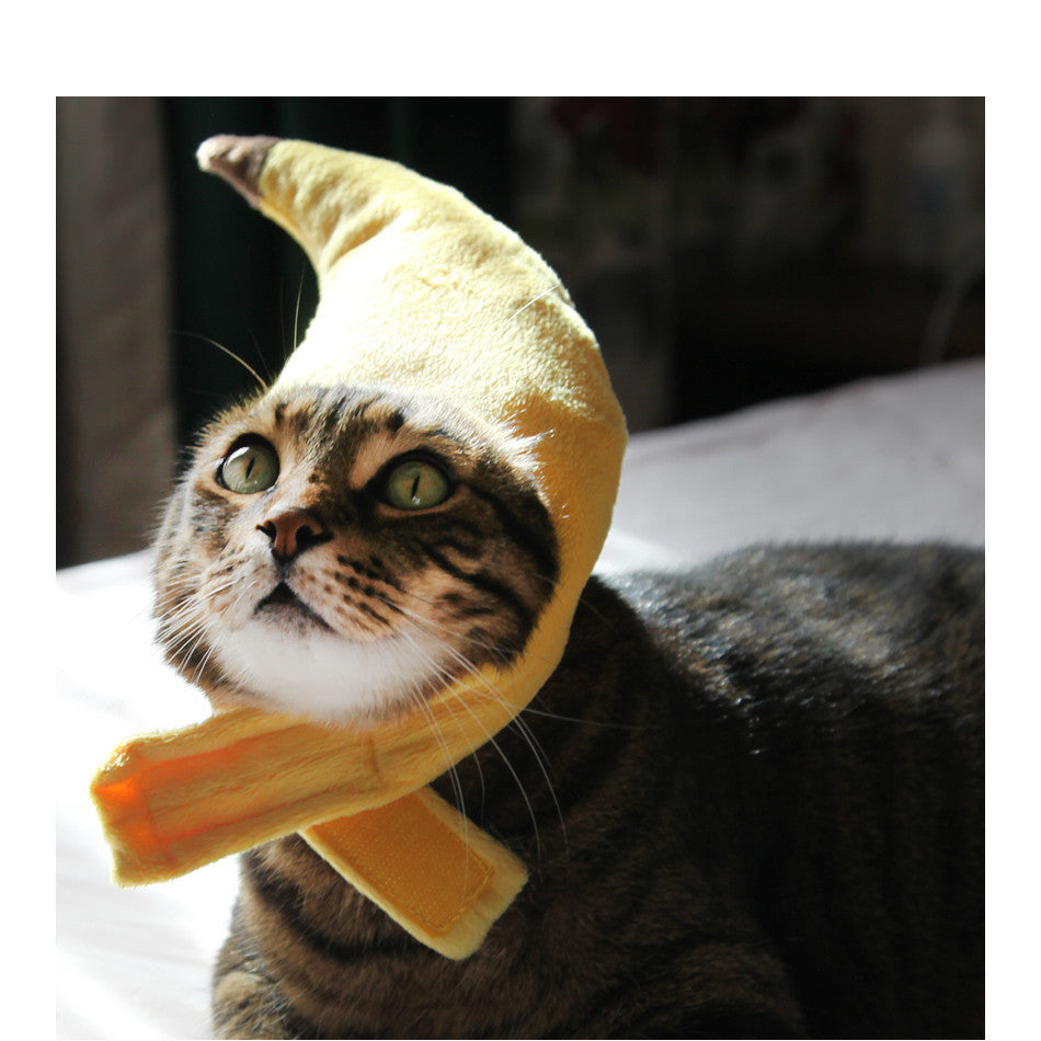 Creative design banana pet hat