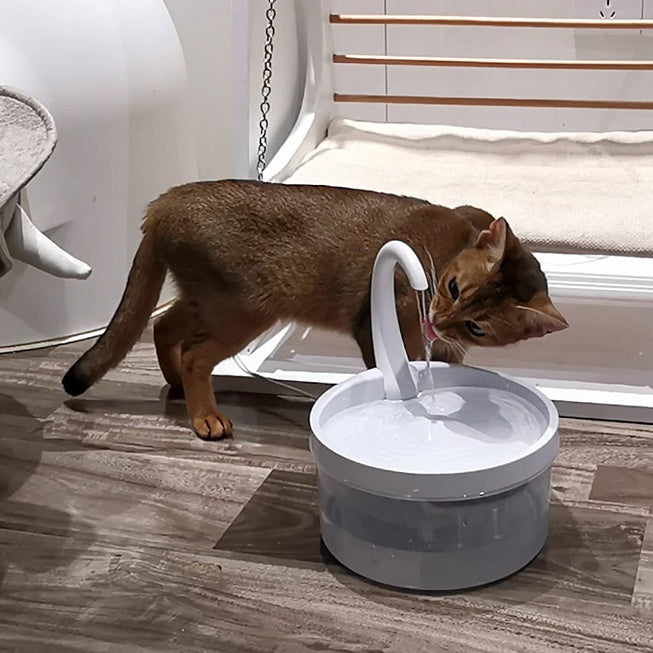 Automatic Circulation Drinking Fountain Drinking Fountain Pet