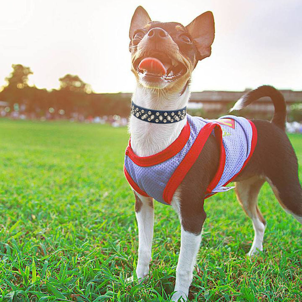 Rivet pet collar