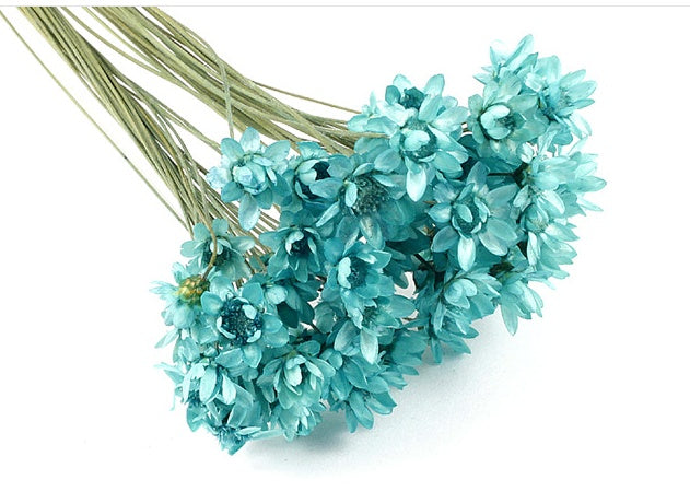 Dry Flower DIY Jewlery