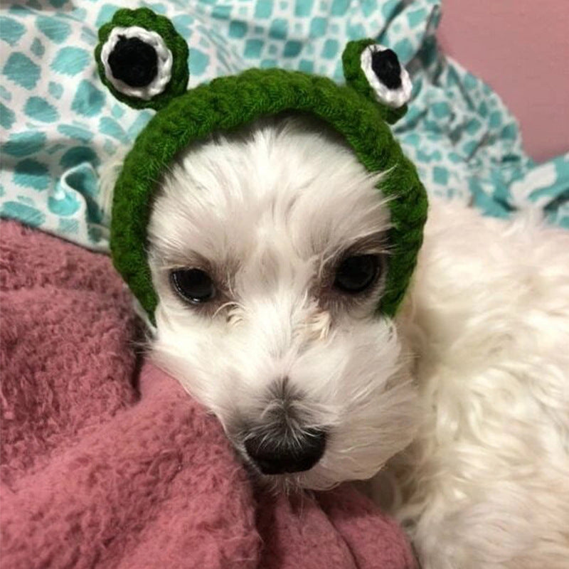 Knitted Wool Pet Hat Photo  Frog Headdress