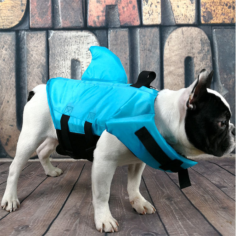 Large and small dog tide brand pet swimsuit