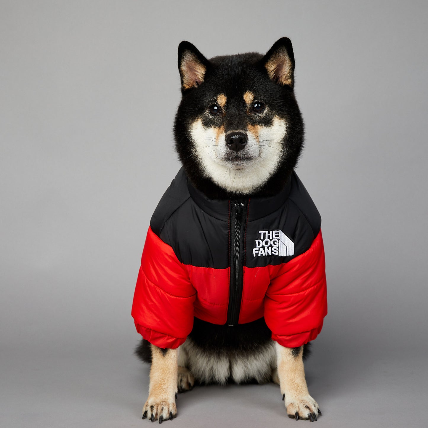 Windproof And Rainproof Dog Winter Warm Pet Cotton-padded Clothes