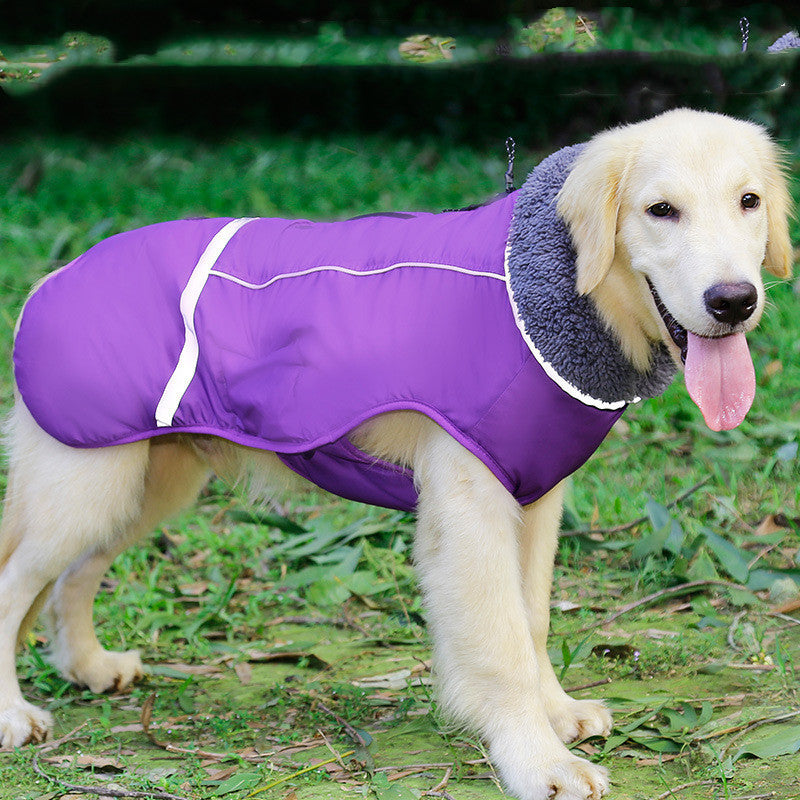 Reflective warm clothing for big dog