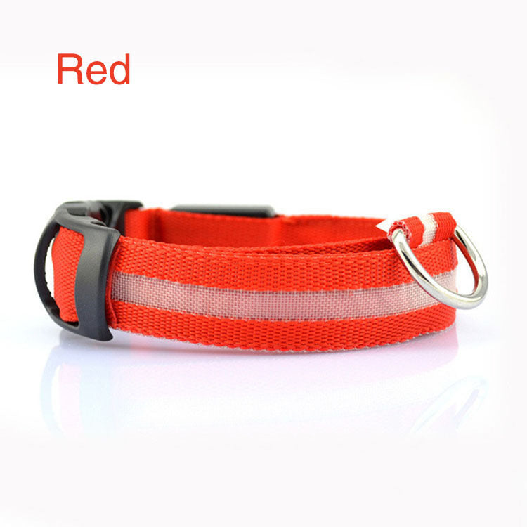 Safety Dog LED Collar