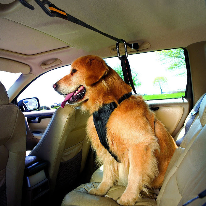 Pet Safety Belt Dual-purpose Car Lanyard