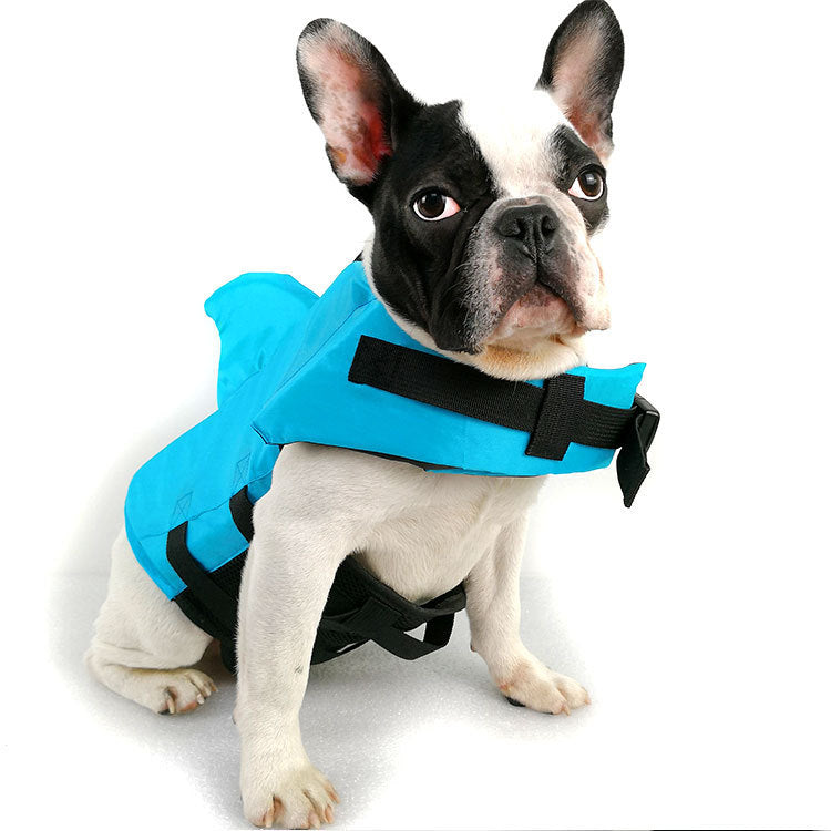 Large and small dog tide brand pet swimsuit