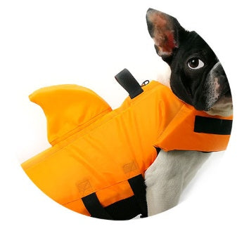 Large and small dog tide brand pet swimsuit