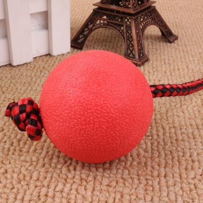 Bite resistant rubber ball with rope solid elastic