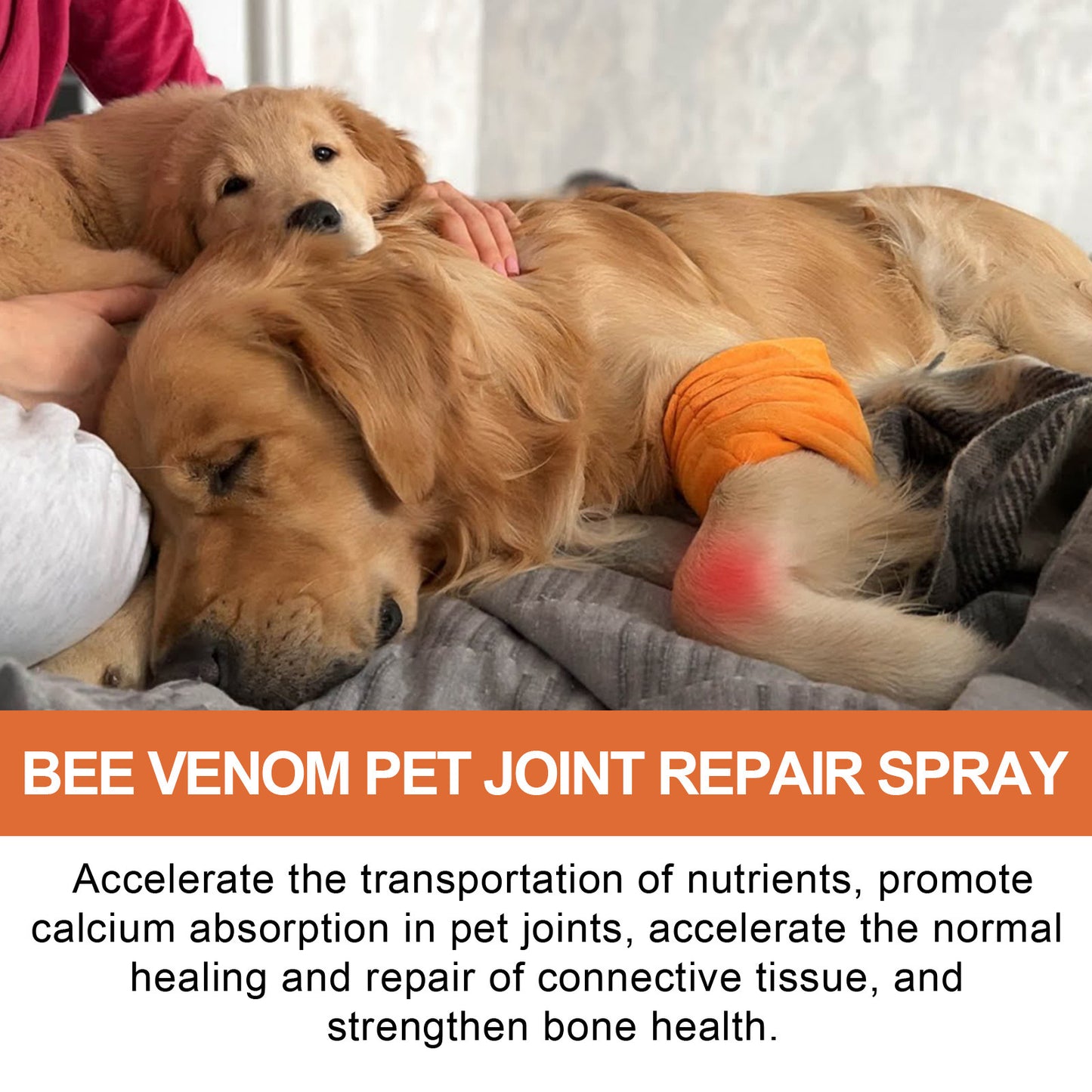 Pet Joint Repair Spray Care Relieve Pet Joint Discomfort Muscle Weakness