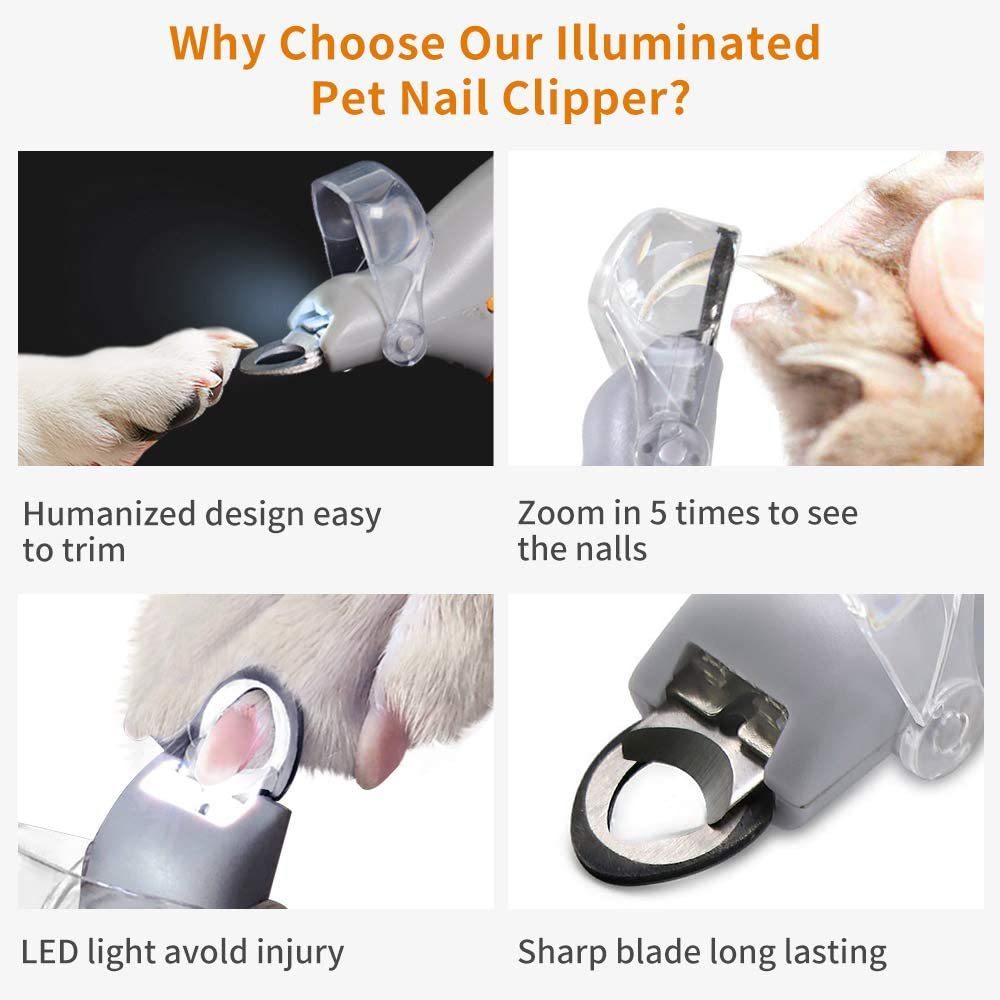 Pet LED With Light Nail Scissors Dogs And Cats Cleaning Scissors Beauty Luminous Nail Clippers