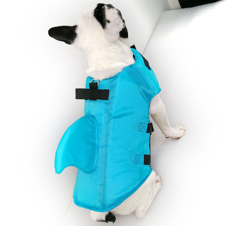 Large and small dog tide brand pet swimsuit