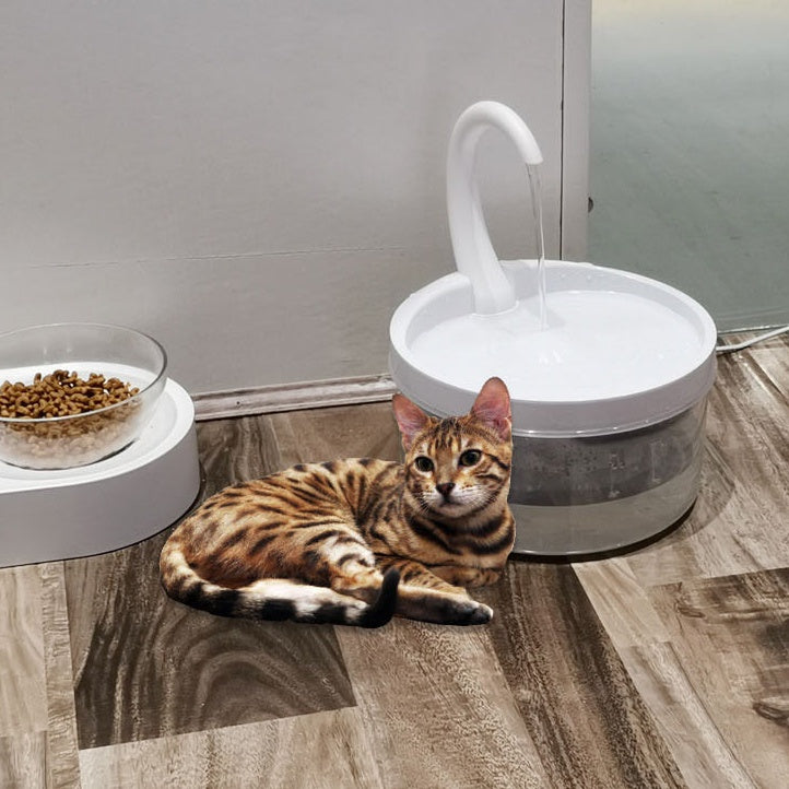 Automatic Circulation Drinking Fountain Drinking Fountain Pet